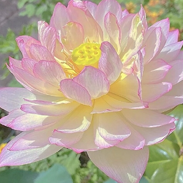 走心阳光的唯美签名 很大方的唯美签名短句 走心阳光的唯美签名 很大方的唯美签名短句