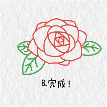 õ�廨��ʻ��̳̺ϼ���Ư��  ���ֺÿ���õ�廨�̳�