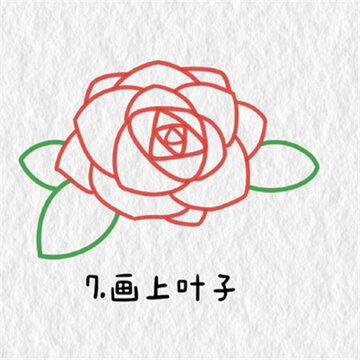 õ�廨��ʻ��̳̺ϼ���Ư��  ���ֺÿ���õ�廨�̳�
