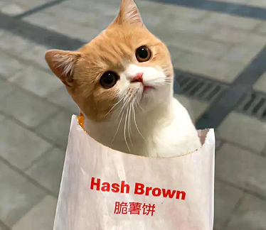 不计较释怀的大度签名 大度不计较的签名 不计较释怀的大度签名 大度不计较的签名