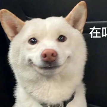 2023巨巨巨巨沙雕的网名 奇葩好笑的昵称合集 2023巨巨巨巨沙雕的网名 奇葩好笑的昵称合集