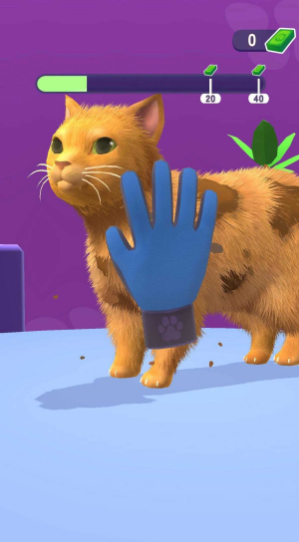 ��������������(Pet Groomer Animal Barbershop)