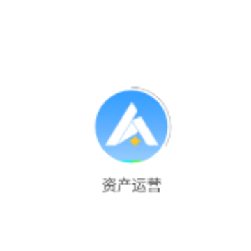 资产运营 资产运营