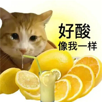 2023��������ͨ�ñ���ϼ� �����õĻ��ֱ���ϼ�