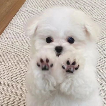 ���������õĿ���ǩ�� ����һ�ڳԵ��ѹ�