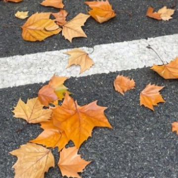 �о��Լ������ǵ�����˵˵ �������ǵ�������¼