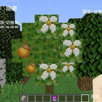 �ҵ���������9.0.11
