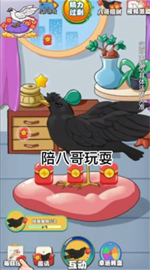 福气八哥喜得红包 福气八哥喜得红包
