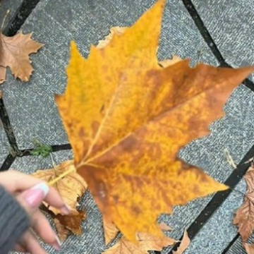 �����һ�ж����õľ��� �й��������õľ���