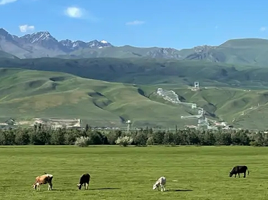 第一次去大草原的心情说说 去大草原心情愉悦的文案 第一次去大草原的心情说说 去大草原心情愉悦的文案