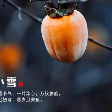 2022小雪节气的朋友圈语录 小雪节气的暖心祝福语 2022小雪节气的朋友圈语录 小雪节气的暖心祝福语
