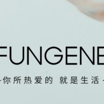 梵吉尼 梵吉尼