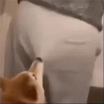ÿ��ð������Ǵ������ı��� ������ѽ����ҽ��