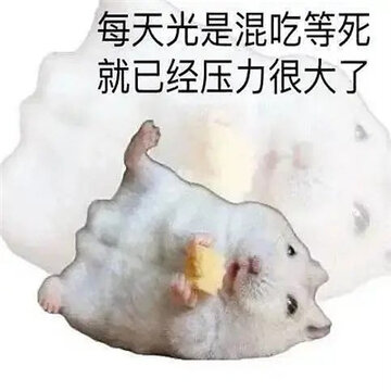 ÿ��ð������Ǵ������ı��� ������ѽ����ҽ��