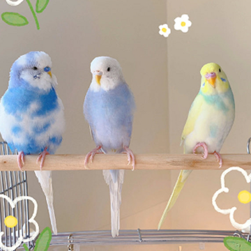����и�ֵĸ���ǩ�� ���һ��ĳ�קǩ��