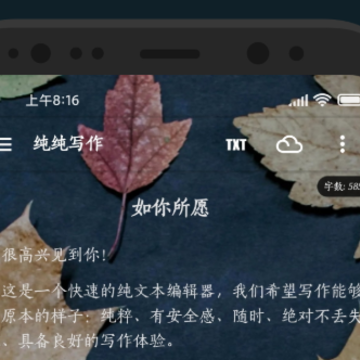 ����д��app����
