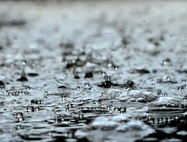下雨天很惬意的心情说说 享受雨天惬意悠然的句子 下雨天很惬意的心情说说 享受雨天惬意悠然的句子