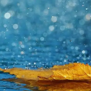 ���������������˵˵  �������������Ȼ�ľ���