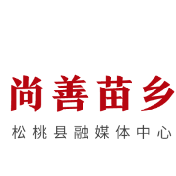 尚善苗乡app 尚善苗乡app