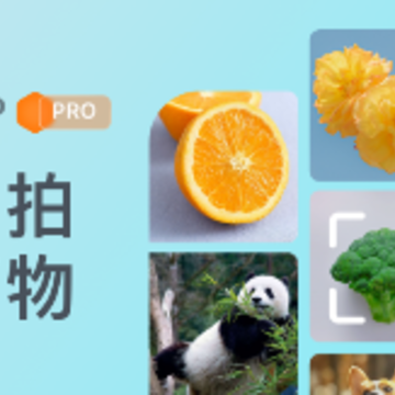 ����ʶ��app