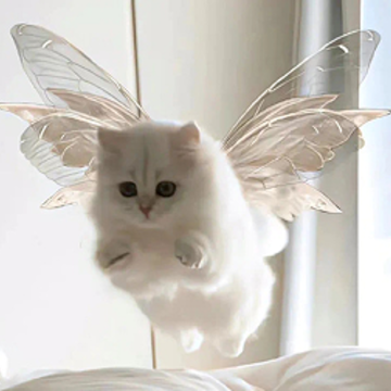 ��Է���Ӣ���ǳ� ����һ�˵�Ӣ������