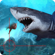 ��ŭ����ѻ���3DAngry Shark Sniper 3Dv1.1.9 ��׿��