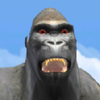 Ұ����������Wildlifev1.1.4 ��׿��