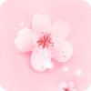 �һ���Ƶ�༭��appv1.1 ��׿��
