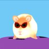 仓鼠小偷Hamster Thiefv1.2 安卓版