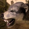 ������ģ����Ultimate Wolf Simulatorv0.1 ��׿��