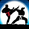 ���ֵ�սʿ�����ĸ�Karate Fighterv21 ��׿��