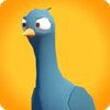 ����Ϯ��Pigeons Attackv1.3.1 ��׿��