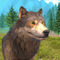 阿尔法野狼生存模拟器Wolf Simulatorv1.0 安卓版