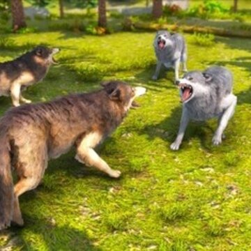 ������Ұ������ģ����Wolf Simulator
