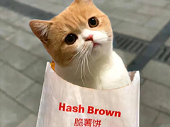 ���ƽ��ͻ��Ĵ��ǩ�� ��Ȳ��ƽϵ�ǩ��