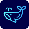 С����appv1.1.3 ��׿��