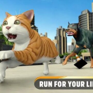流浪街头猫逃脱Stray Street Cat Escape 流浪街头猫逃脱Stray Street Cat Escape