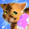 ��������������(Pet Groomer Animal Barbershop)v0.1.0 ��׿��