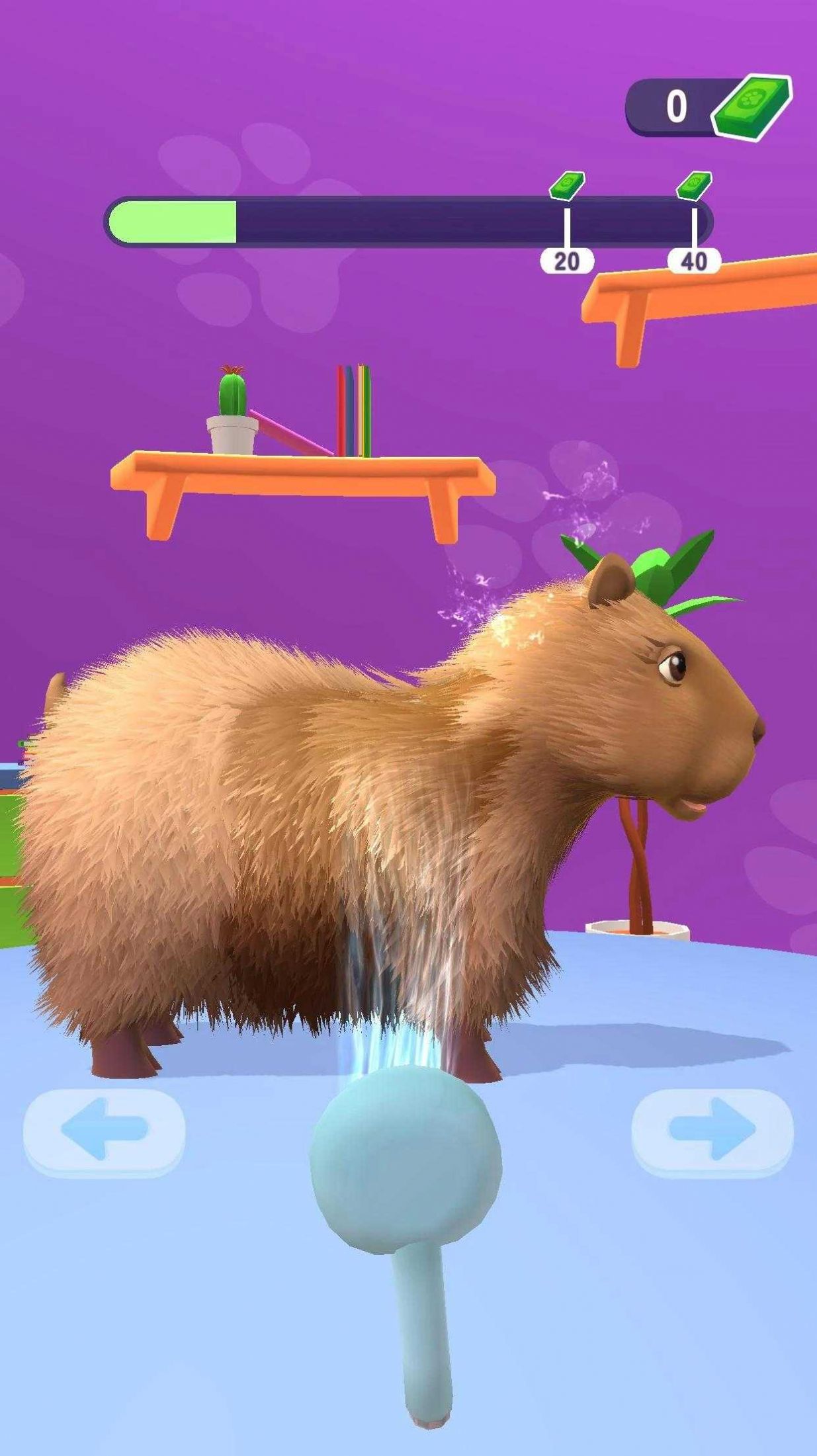 ��������������(Pet Groomer Animal Barbershop)v0.1.0 ��׿��