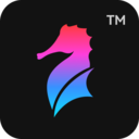 海马证件照appv3.1.2 最新版