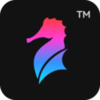 ����֤����appv3.1.2 ���°�