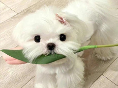 �Ҳ��������Ҷ�һ�޶�ǩ�� �ܸ߼�����ǩ��