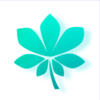 ��ͩ��TPappv2.3.01 ���°�