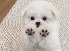 ���������õĿ���ǩ�� ����һ�ڳԵ��ѹ�