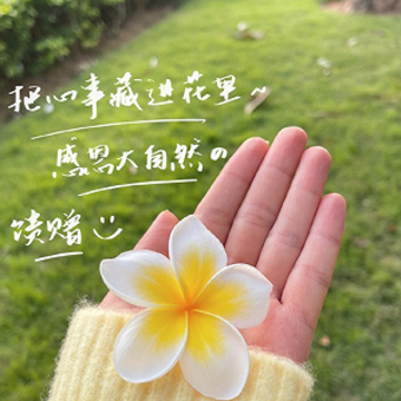 2023治愈你坏心情的温柔签名 是雾总会散 2023治愈你坏心情的温柔签名 是雾总会散