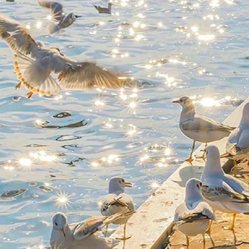 ���ƺ쳾������˵˵ ���ƺ쳾����һ�о�����¼