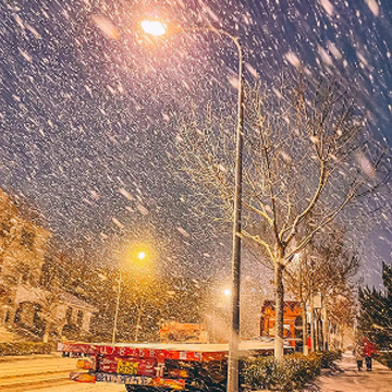 ��ѩ�׷ɵ�����Ȧ˵˵ ��ѩ�׷ɵ�������¼