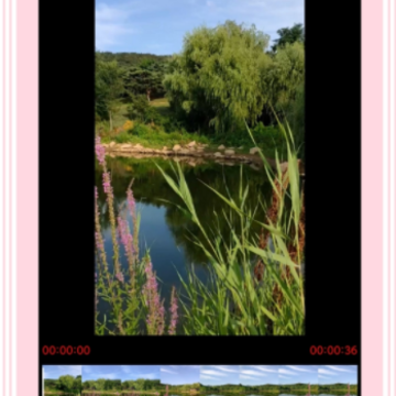 ������ʽũ��app