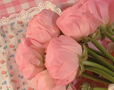 �Ȳ����������ľ��� �ڴ��ؼҹ��������˵˵