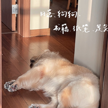 北漂的现实与心酸说说 北漂一族的心酸语录 北漂的现实与心酸说说 北漂一族的心酸语录